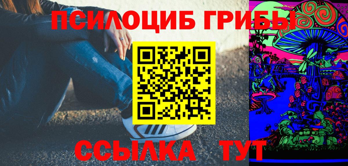 Железноводск  Псилоцибиновые грибы Cubensis  Вход с VPN  Псилоцибиновые грибы прущие грибы 