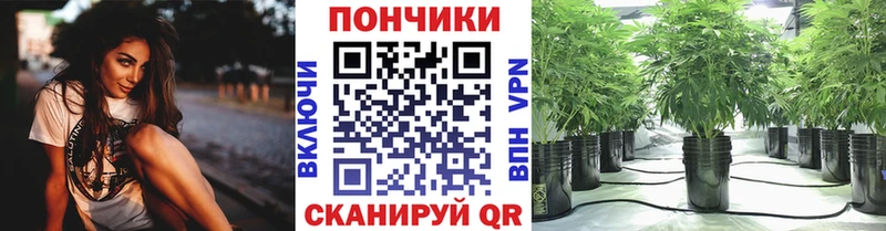 Бошки Шишки SATIVA & INDICA ссылка на мегу ссылки Железноводск